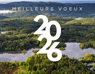 Meilleurs Voeux 2026